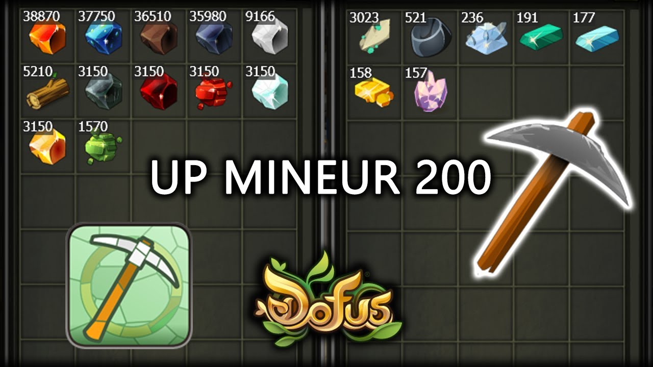 Monter Mineur level 200