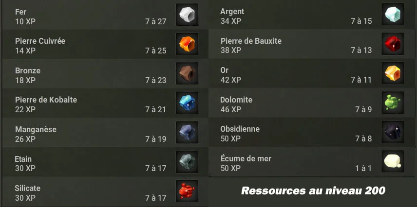 Monter Mineur level 200