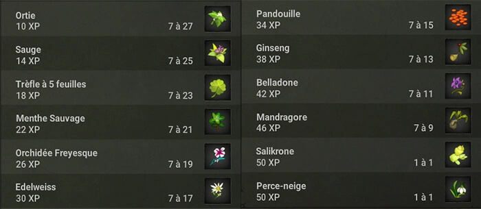 Monter alchimiste level 200. C’est FACILE