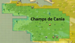 Achat De Kamas